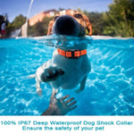 Koiran koulutuspanta 800 m – vedenpitävä isku- ja tärinäpanta