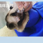 Kattväska med sele – bärbar transportväska för veterinär & resa