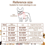 Halloween kostym för hund & katt – Rolig riddardräkt för fest & foto