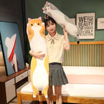 LongCats – Myk kattepute