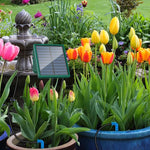 Solcellsbevattning – automatisk droppbevattning för balkong & trädgård