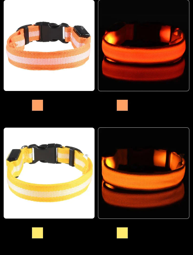 LysTass™ - LED Lysande Hundhalsband & Koppel