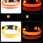 LysTass™ - LED Lysande Hundhalsband & Koppel