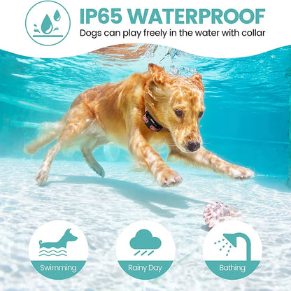 Hundträningshalsband 800 m – vattentätt stöt- & vibrationshalsband