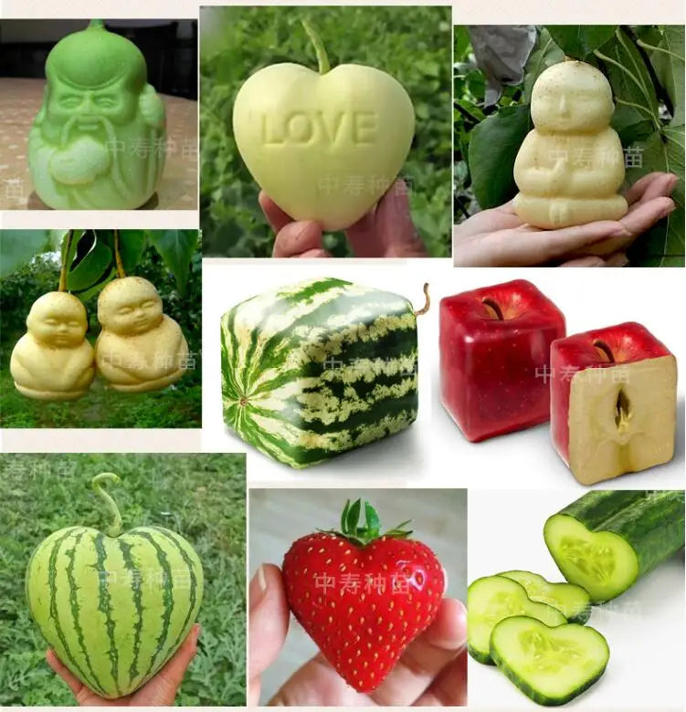 Grönsaksformar – plastformar för hjärtan & stjärnor (frukt- & grönsaksodling)