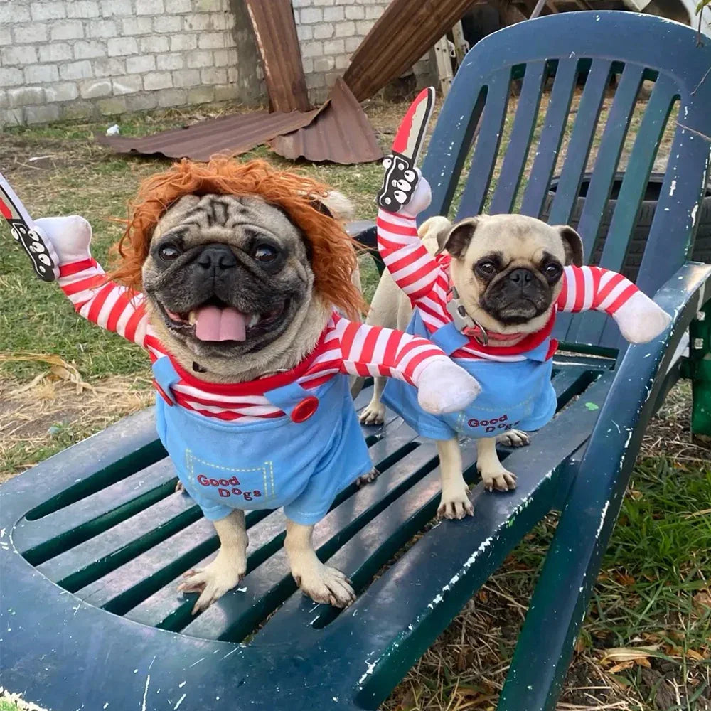 Halloween hundkostym –  Chucky Rolig dräkt för små & stora hundar