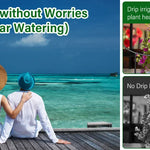 Solcellsbevattning – automatisk droppbevattning för balkong & trädgård