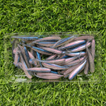 Mikro beten – 50 st mjuka jiggar för abborre & gädda