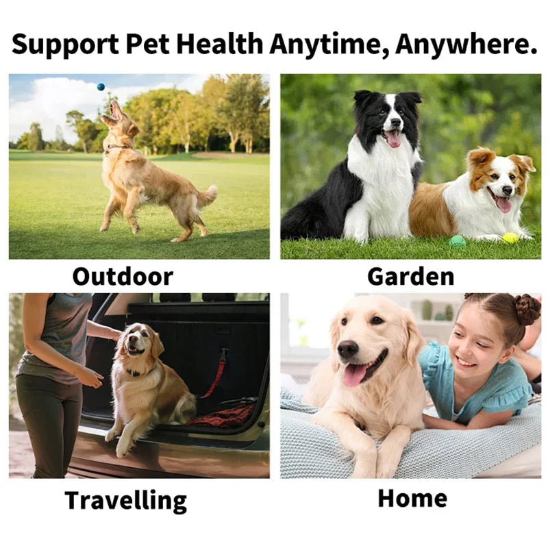 Engångstandborste för hund & katt – fingeröverdrag