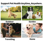 Engångstandborste för hund & katt – fingeröverdrag