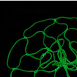 GlowNet™ – Självlysande Basketnät 50 cm