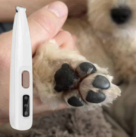 Tasstrimmern – Lugn tassvård hemma funkar för både hund och katt