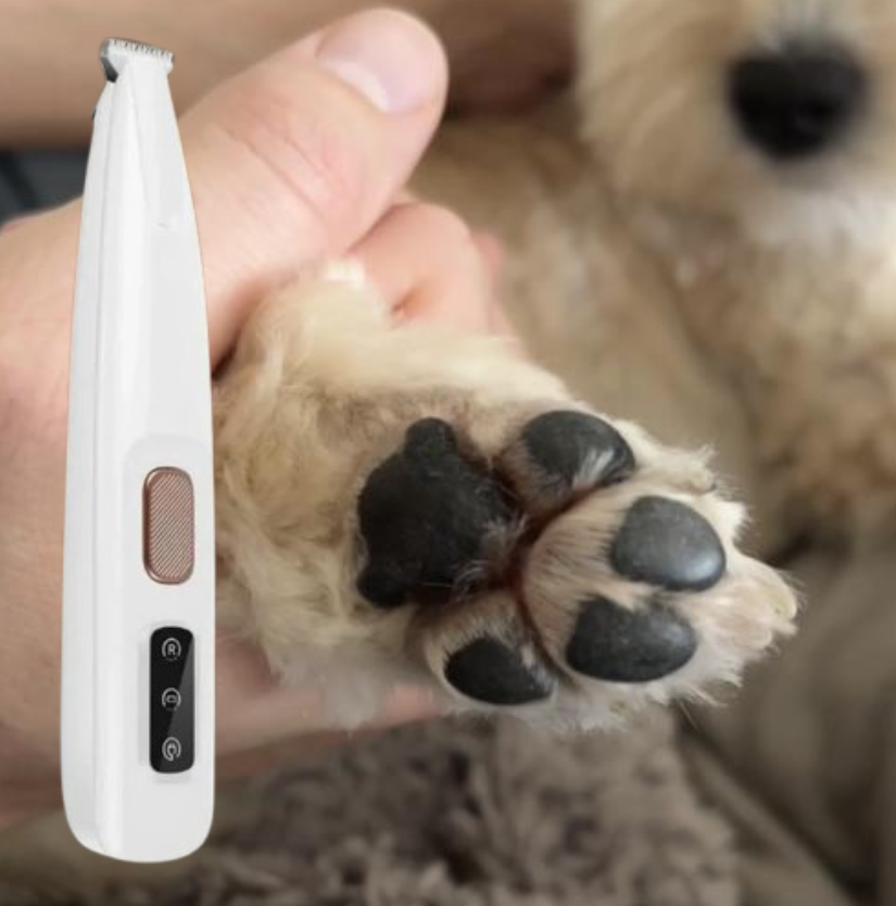 Tasstrimmern – Lugn tassvård hemma funkar för både hund och katt