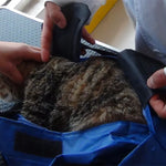 Kattväska med sele – bärbar transportväska för veterinär & resa