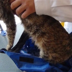 Kattväska med sele – bärbar transportväska för veterinär & resa