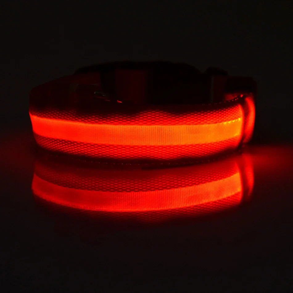 LysTass™ - LED Lysande Hundhalsband & Koppel