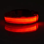 LysTass™ - LED Lysande Hundhalsband & Koppel