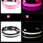 LysTass™ - LED Lysande Hundhalsband & Koppel