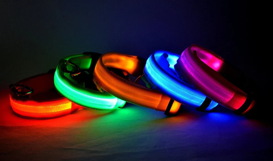 LysTass™ - LED Lysande Hundhalsband & Koppel