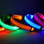 LysTass™ - LED Lysande Hundhalsband & Koppel