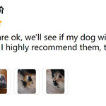 Vattentäta hundskor – 4-pack