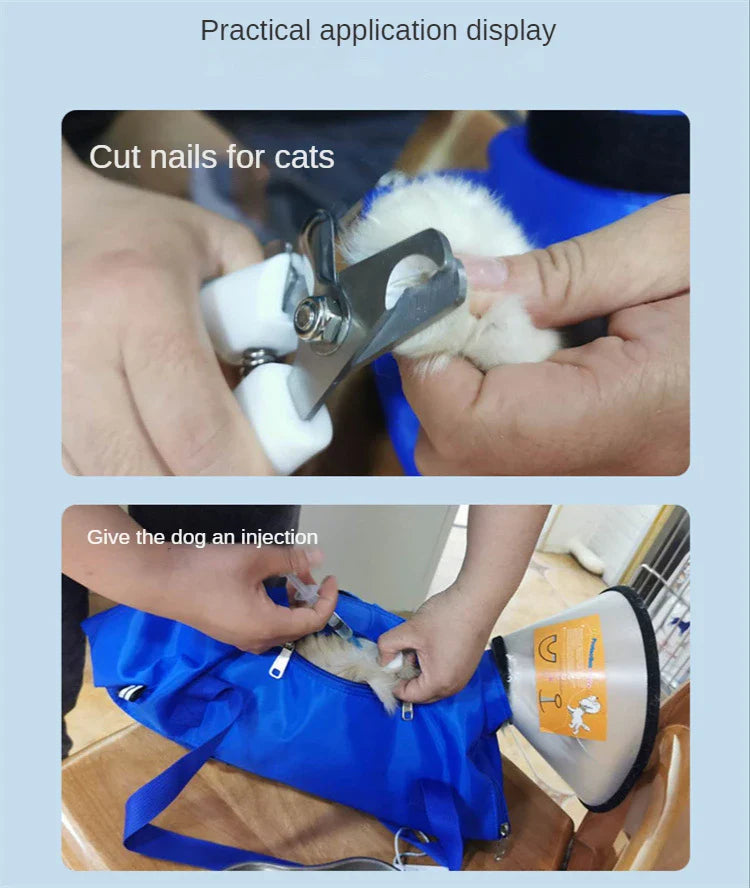 Kattväska med sele – bärbar transportväska för veterinär & resa