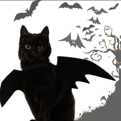 Halloween kostym för hund & katt – Söta svarta fladdermusvingar