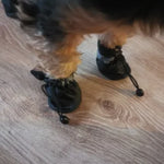 Vattentäta hundskor – 4-pack