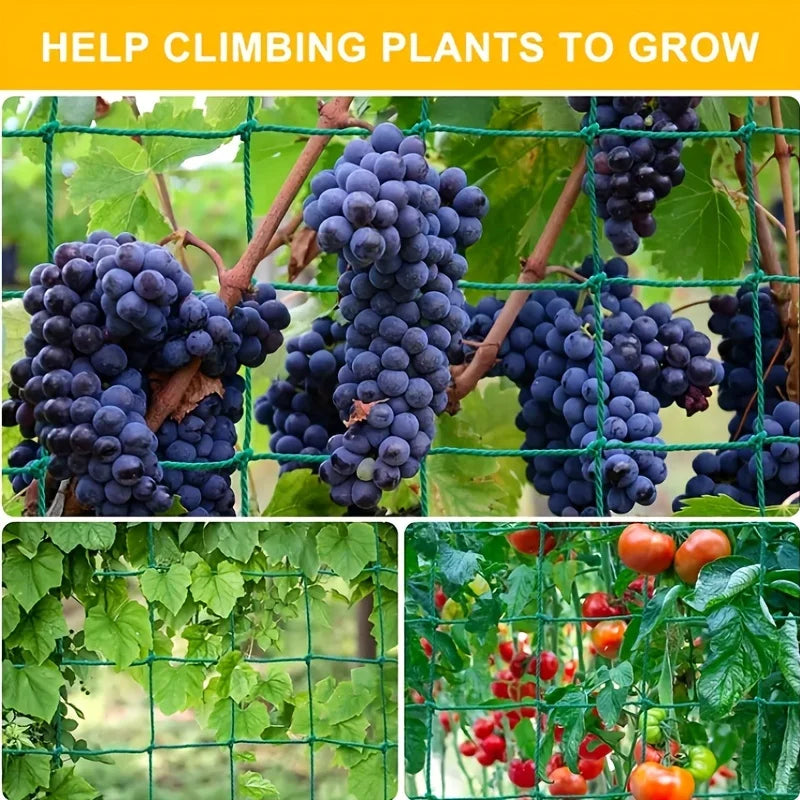 Klätternät för Växter