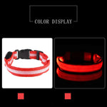 LysTass™ - LED Lysande Hundhalsband & Koppel