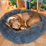 Ortopedisk donut hundbädd – anti-stress säng för hund & katt