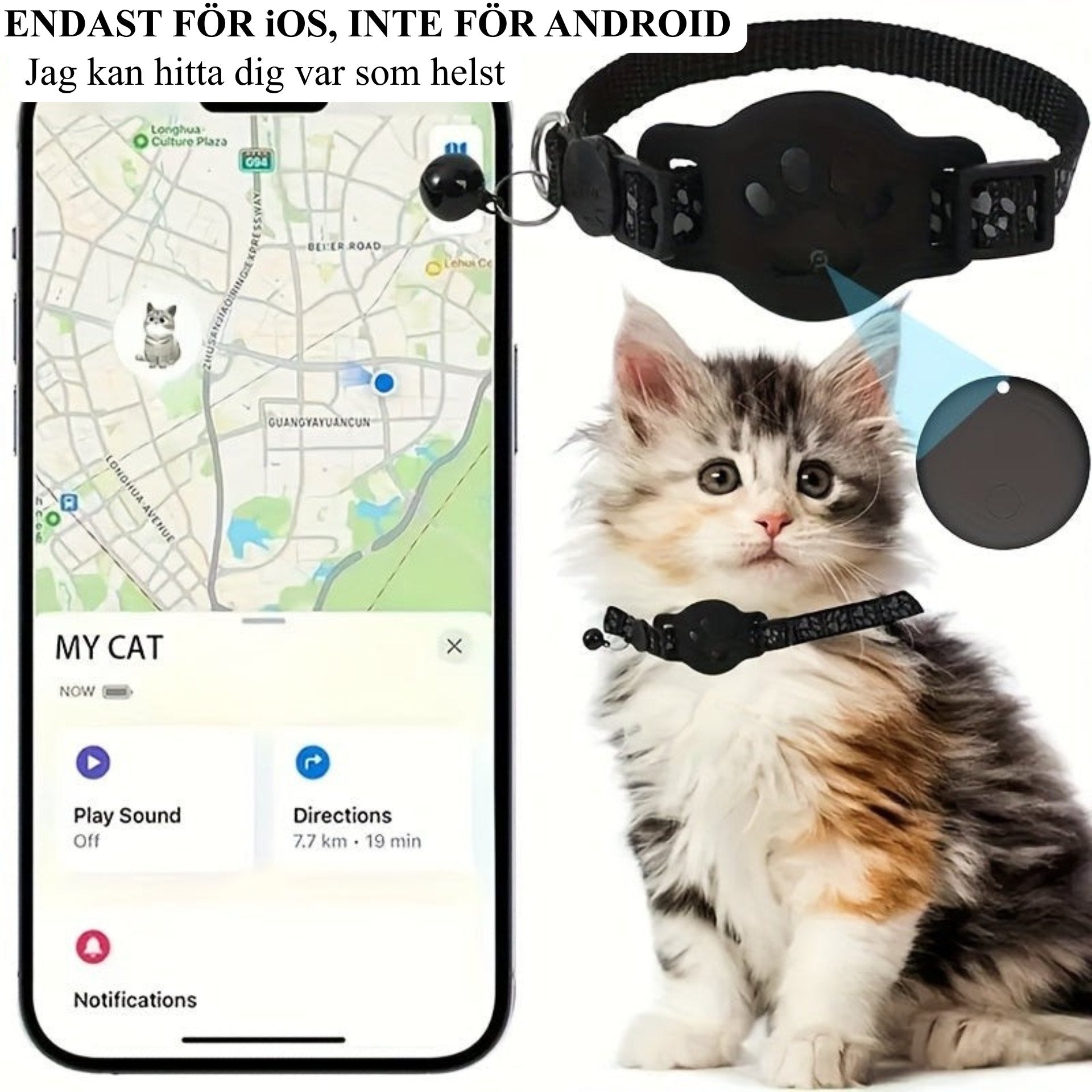 GPS-Kattkollare med Multifunktion, Real-Tid Spårning