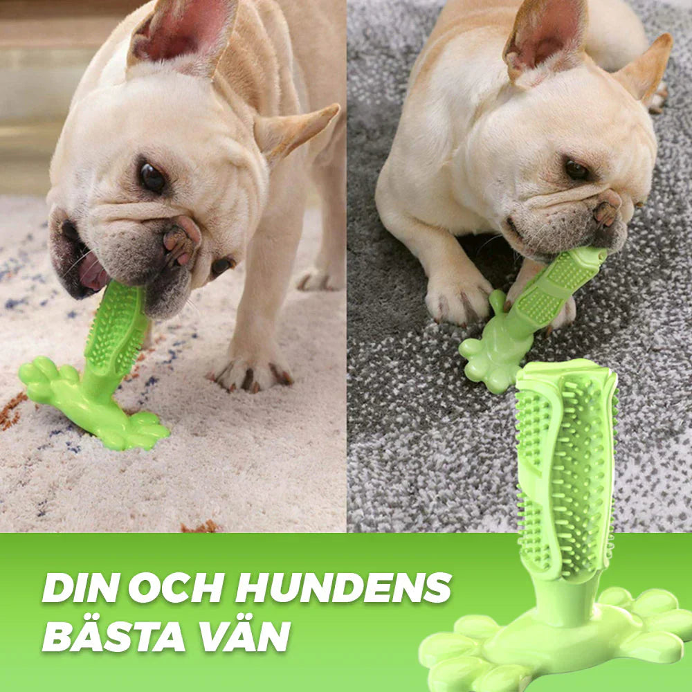 HundTandborsten - Friska tänder utan borstning