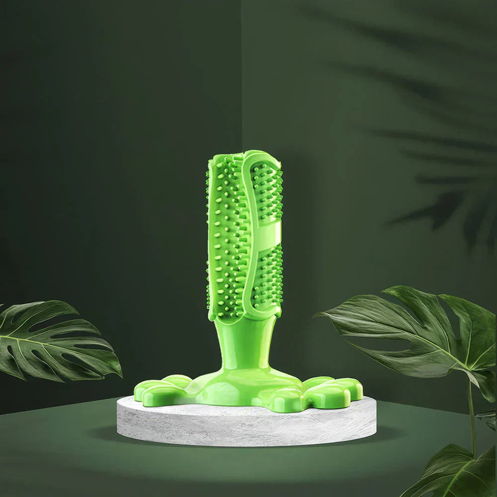 Koiranhammasharja - Terveet hampaat ilman harjausta