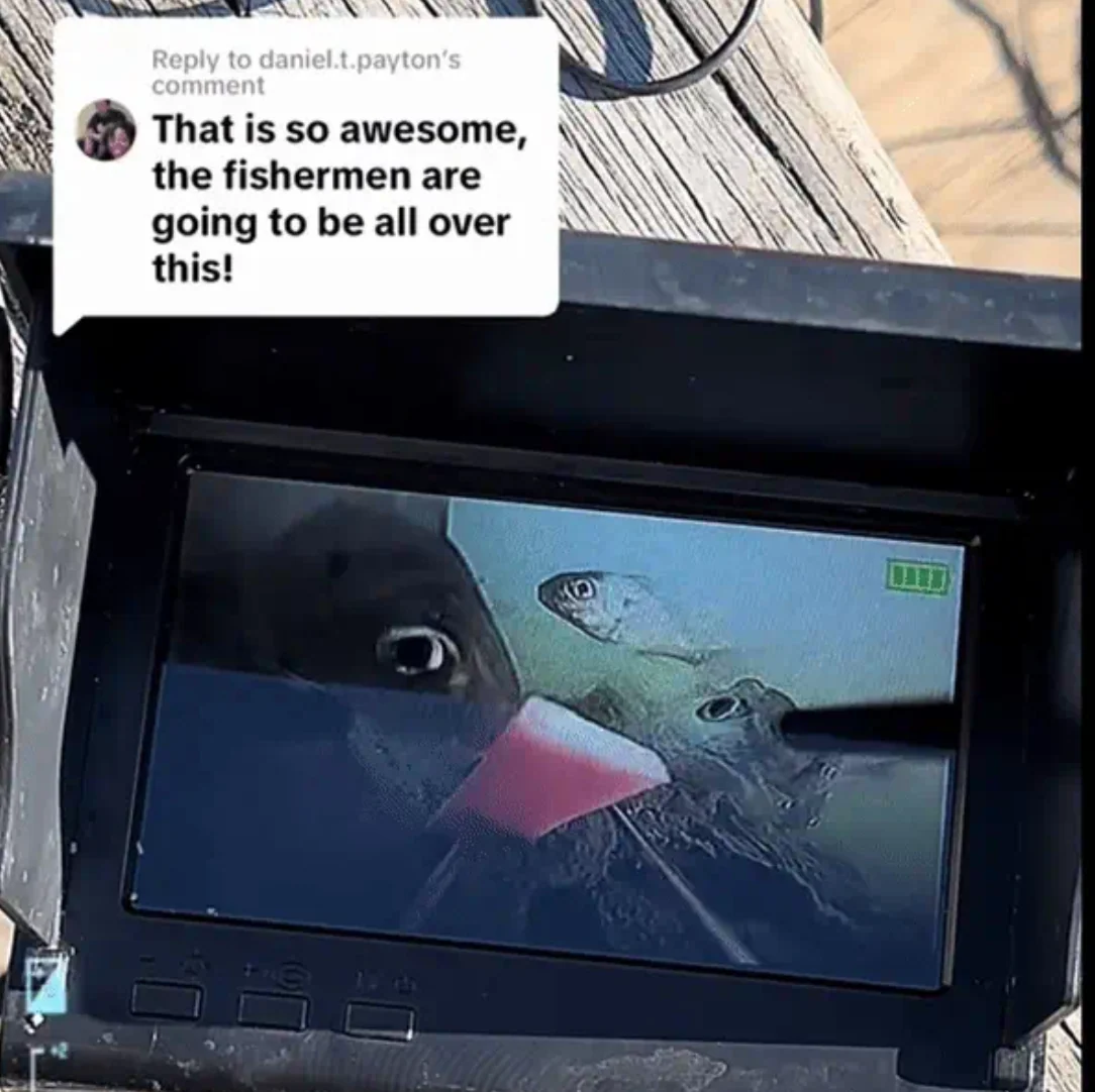 Fiskekamera med 30 meter kabel